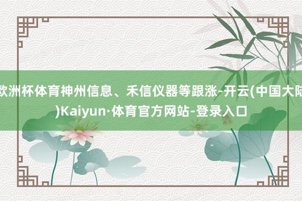 欧洲杯体育神州信息、禾信仪器等跟涨-开云(中国大陆)Kaiyun·体育官方网站-登录入口