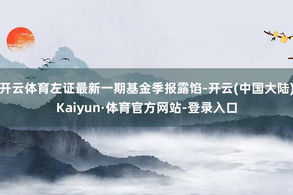 开云体育左证最新一期基金季报露馅-开云(中国大陆)Kaiyun·体育官方网站-登录入口