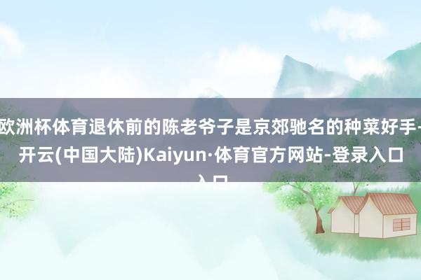 欧洲杯体育退休前的陈老爷子是京郊驰名的种菜好手-开云(中国大陆)Kaiyun·体育官方网站-登录入口