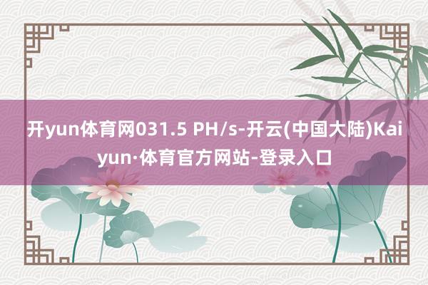 开yun体育网031.5 PH/s-开云(中国大陆)Kaiyun·体育官方网站-登录入口
